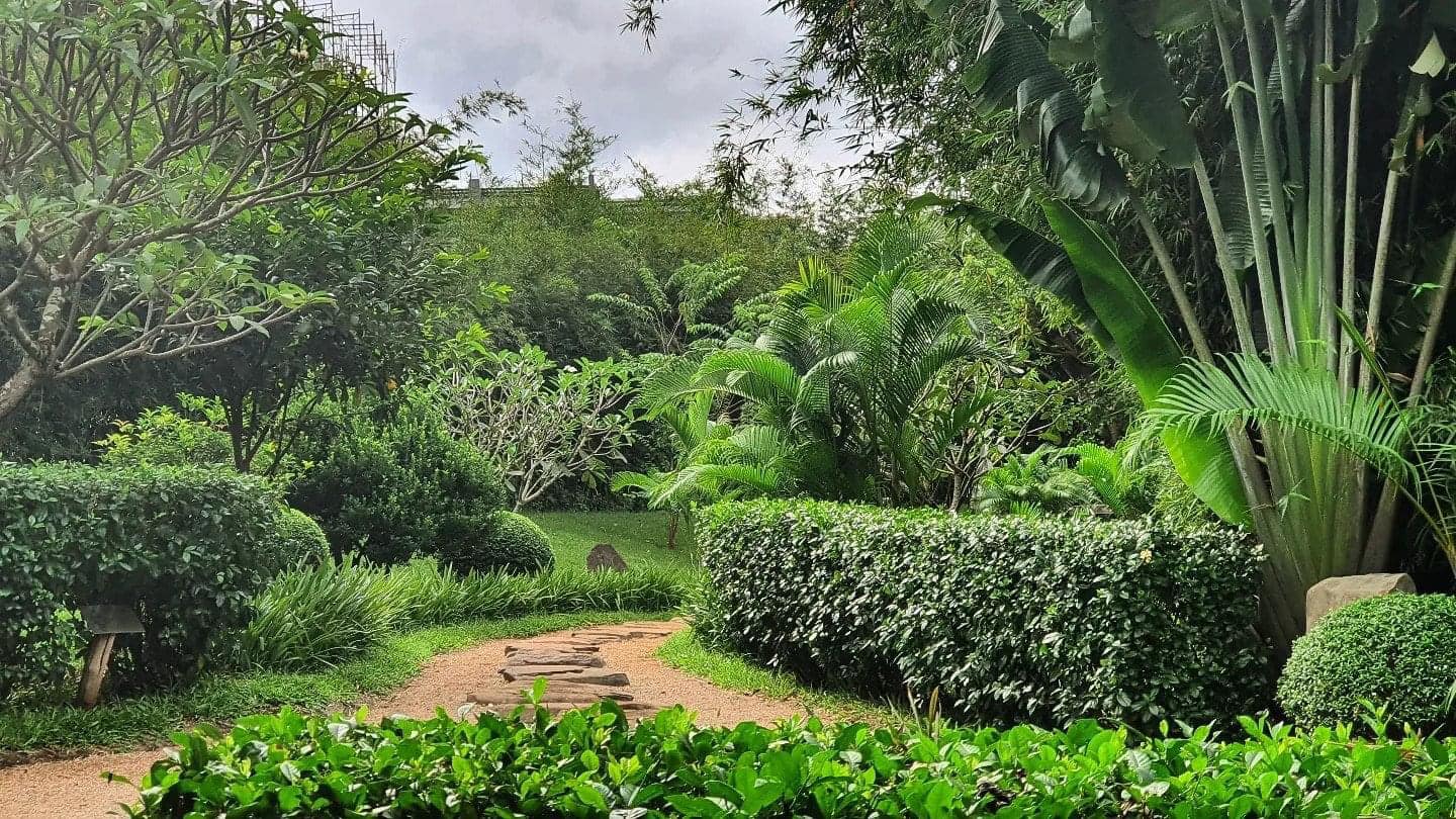 Zen Garden: chữa lành Thân - Tâm - Trí bằng nghệ thuật làm vườn