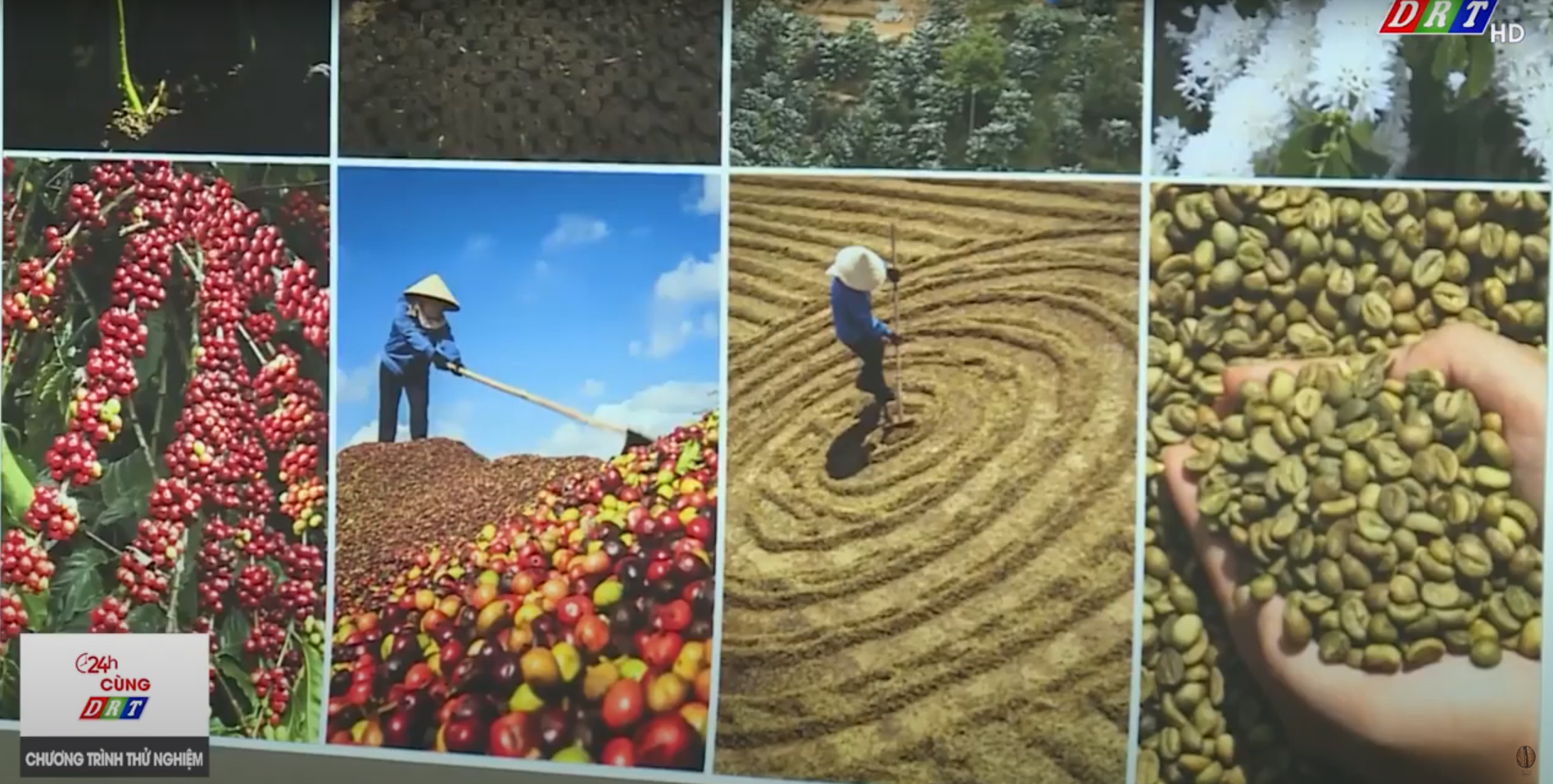 Cà phê Việt qua lăng kính của các nghệ sỹ nhiếp ảnh